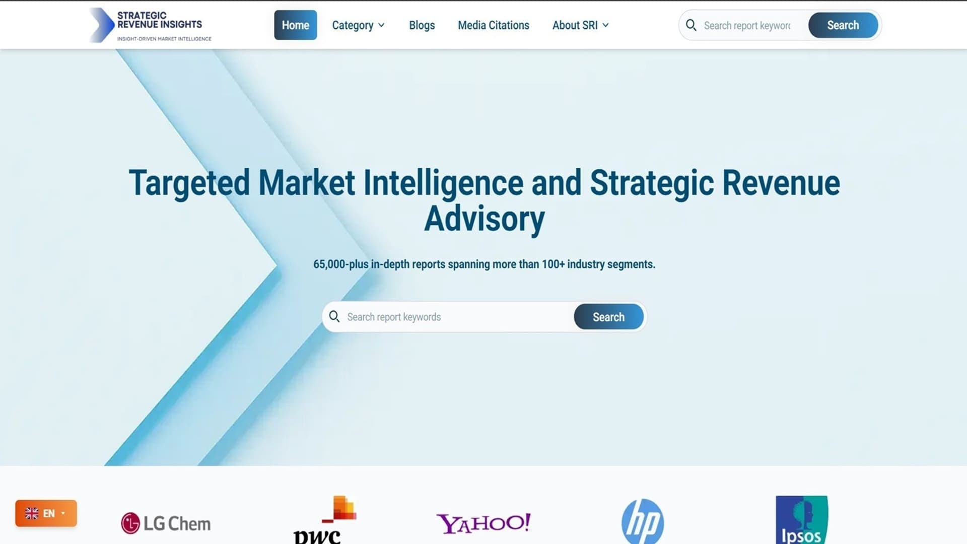 Strategic Revenue Insights